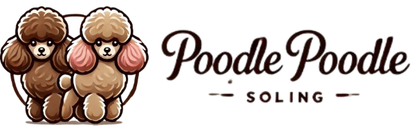 Poodle Poodle