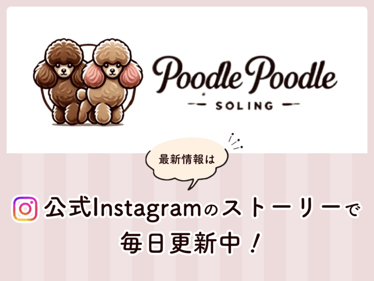 プードルプードル二子玉川店のインスタ_犬の幼稚園・ペットホテル・取りもングサロン