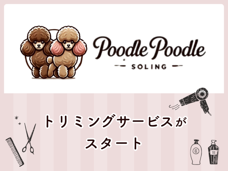 世田谷区トリミングサロン_プードルプードル