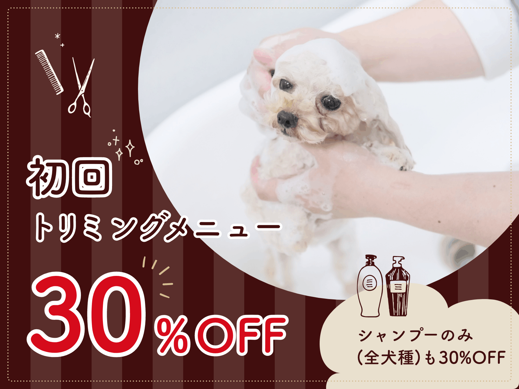 世田谷区二子玉川トリミング料金30%OFF