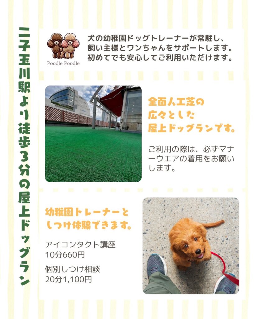 世田谷区二子玉川ドッグラン