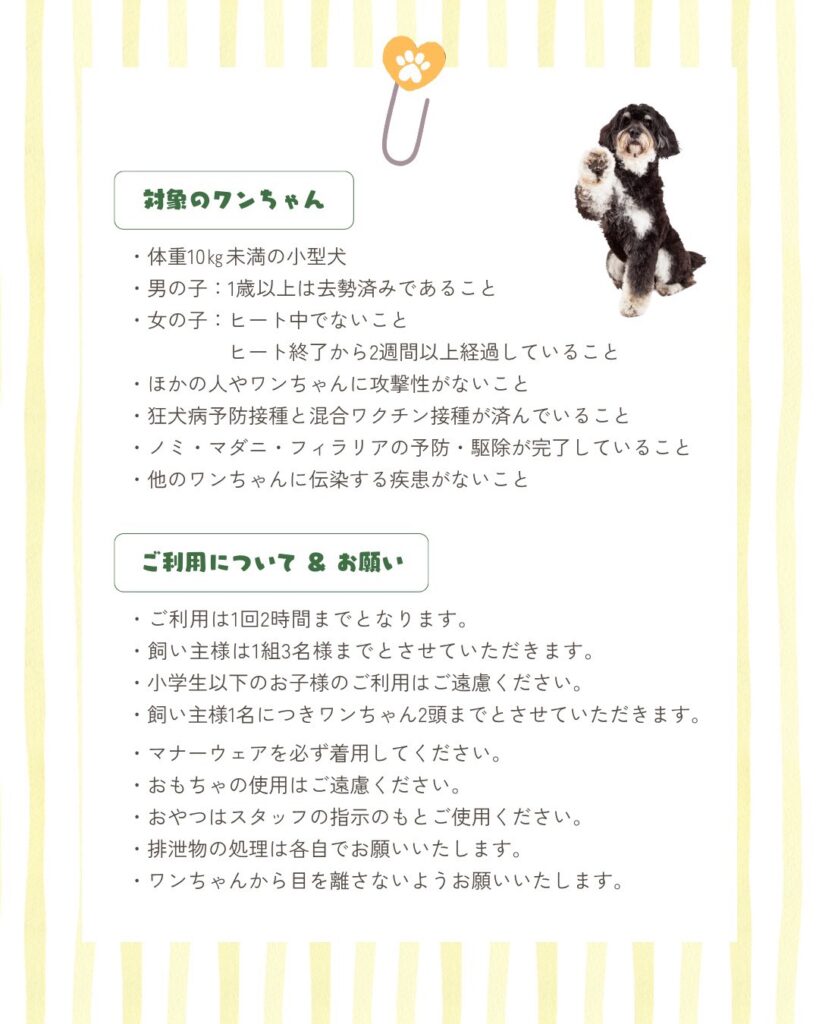 世田谷区二子玉川ドッグラン